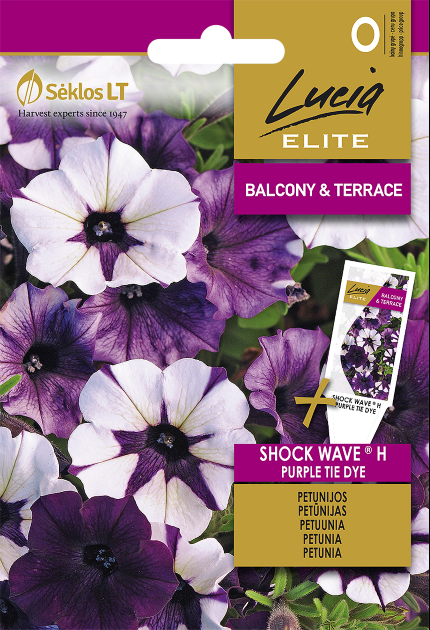 PETUNIA (SURFINIA) SHOCK WAVE® H PURPLE TIE DYE