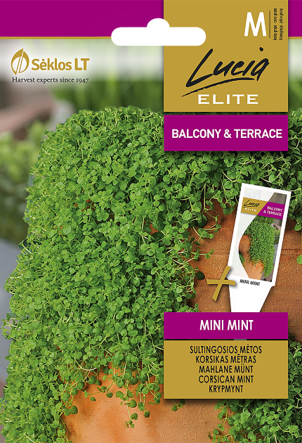 SULTINGOSIOS MĖTOS MINI MINT