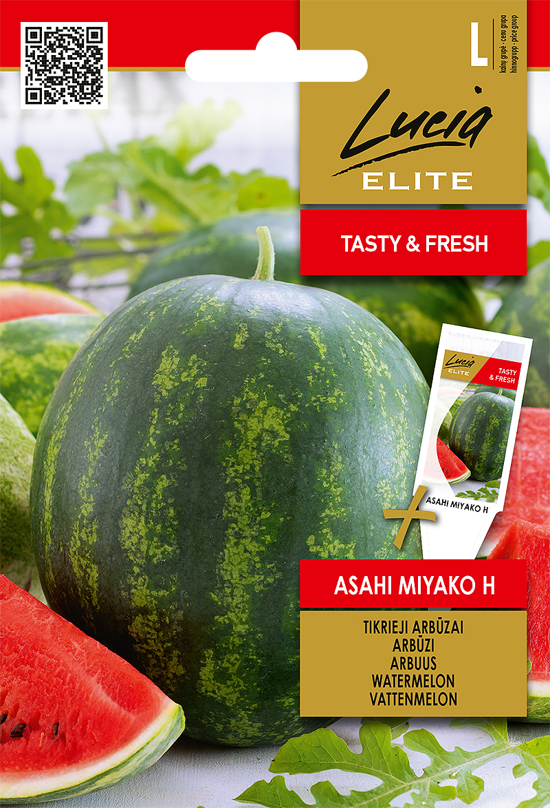 ARBUUSID ASAHI MIYAKO