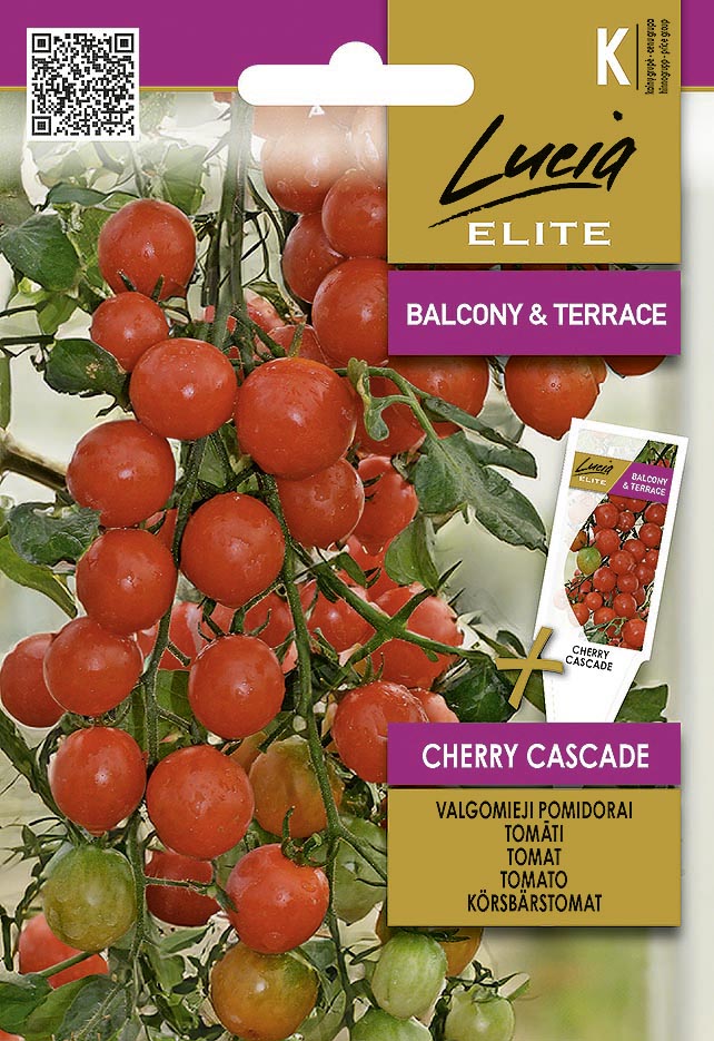 CHERRY CASCADE TABLE TOMATOES