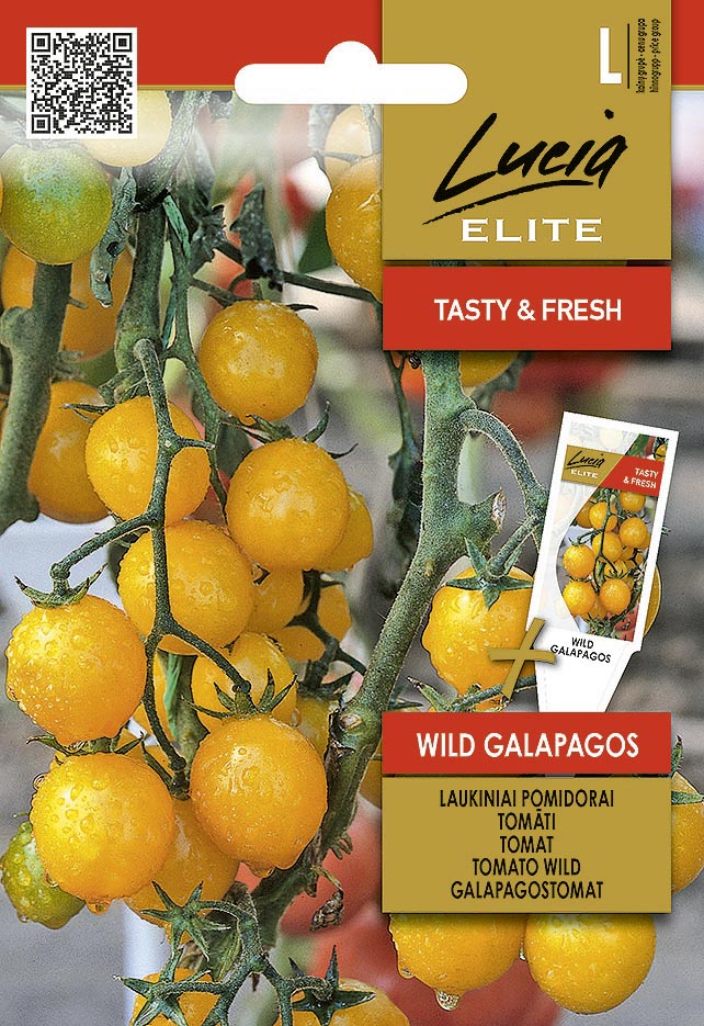 WILD TOMATOES WILD GALAPAGOS